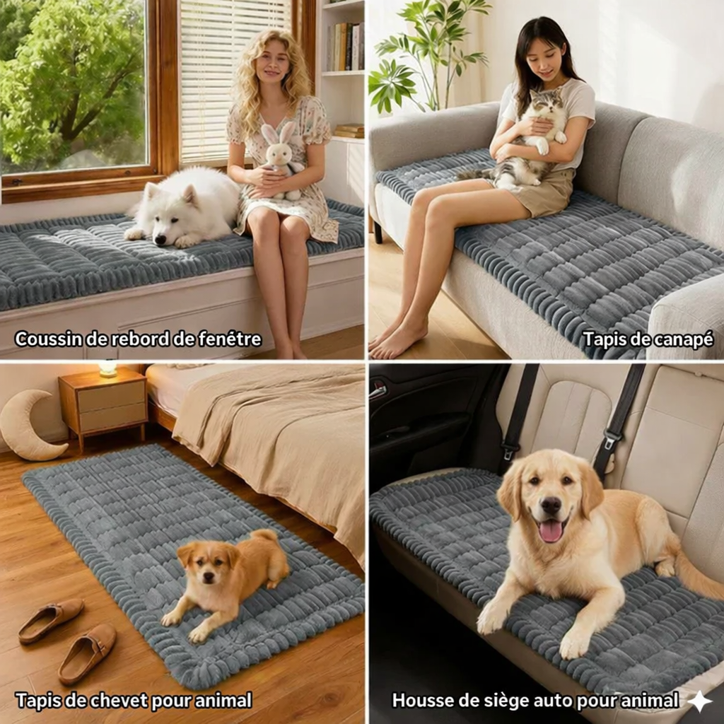 Housse de protection matelassée antidérapante en peluche pour canapé pour animaux de compagnie